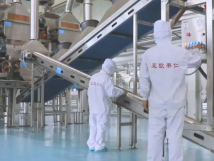 2025年的第一個月，承德亞歐果仁有限公司在山杏產(chǎn)業(yè)的道路上持續(xù)奮進，展現(xiàn)出蓬勃的發(fā)展活力。